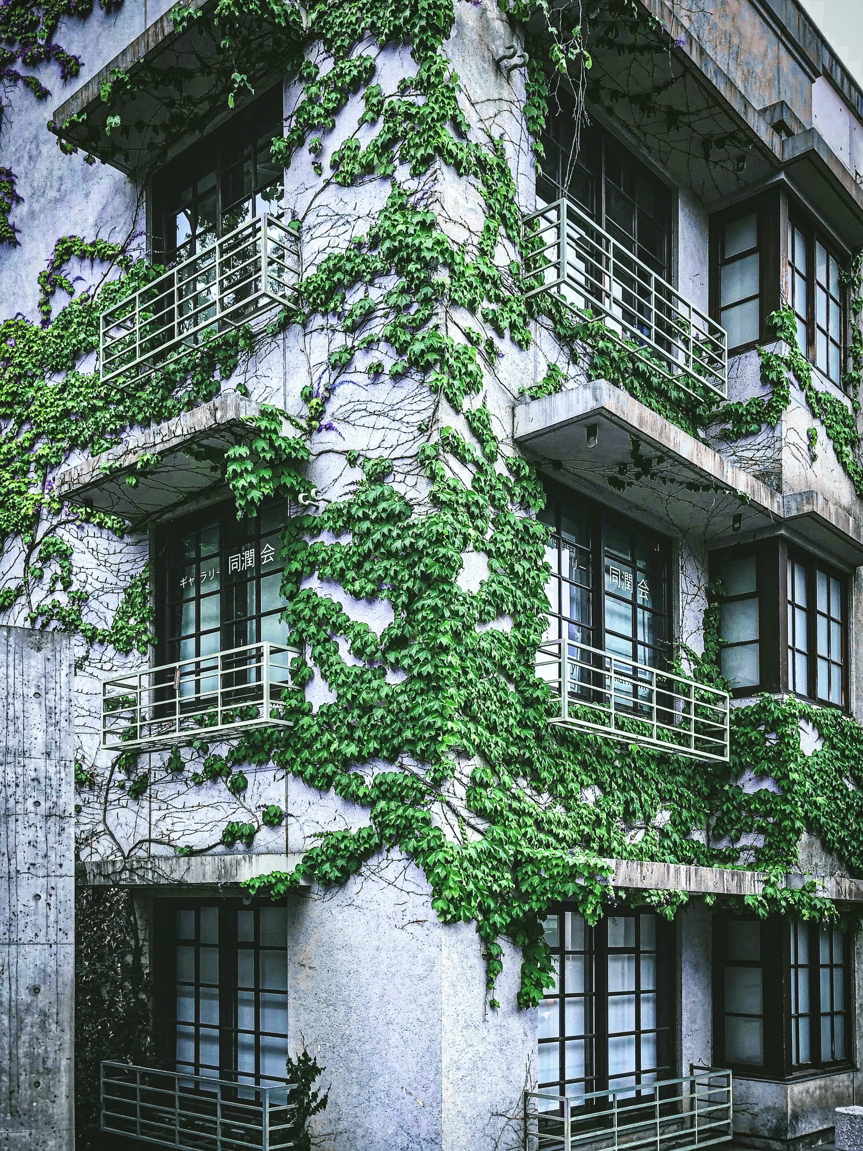 white and black concrete building